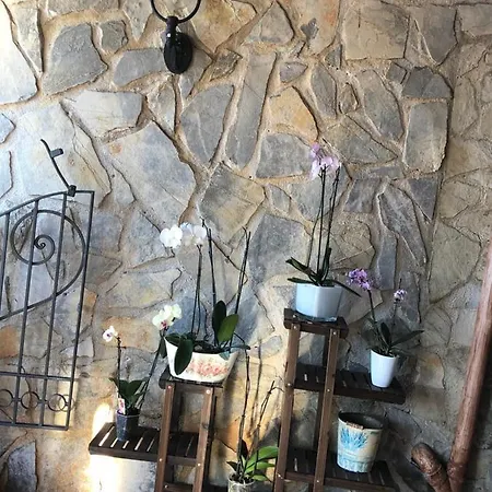 Della Pietra Viva Apartament